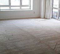 Steam Carpet Cleaning